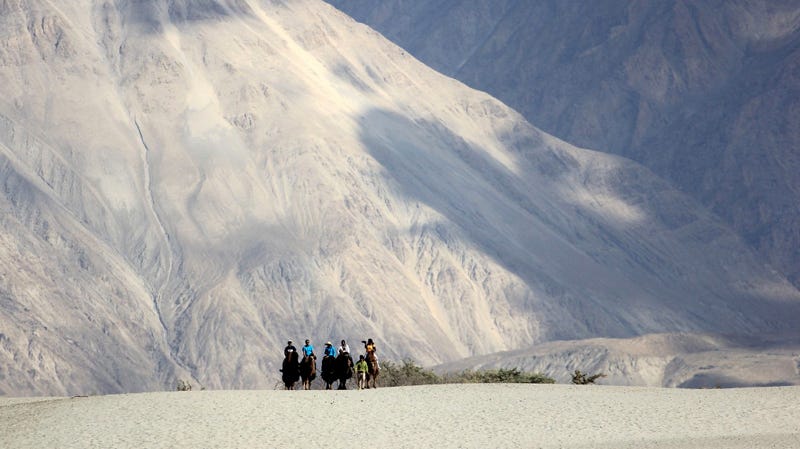 Ladakh Nubra Valley