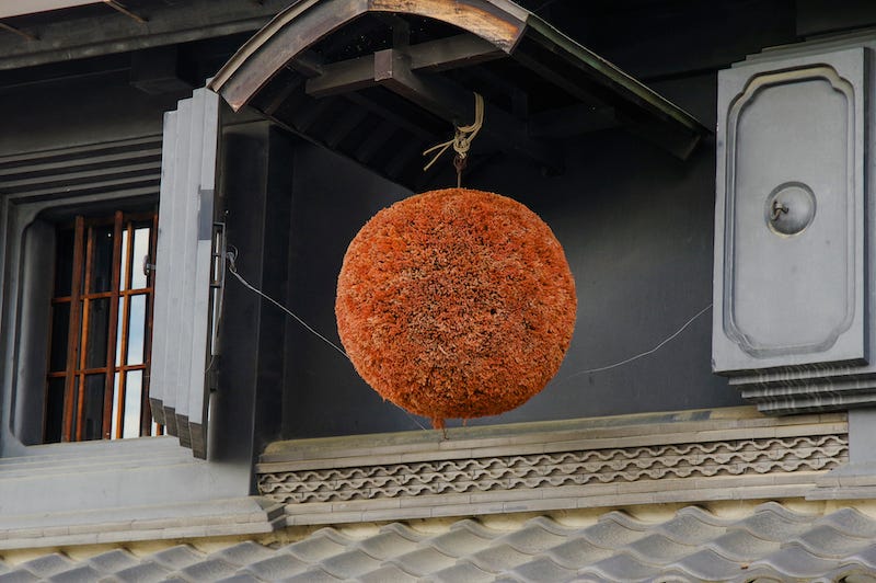 A sugidama hangs outside of a nihonshu (“sake”) brewery somewhere in the Japan’s countryside