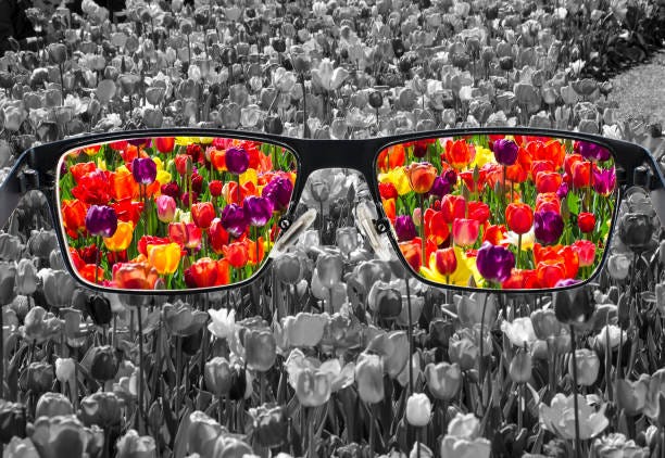 Color Blind Glasses looking a flowers