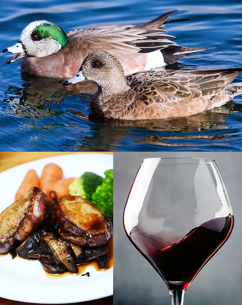 The Green-Headed Wanderer: Exploring the American Wigeon