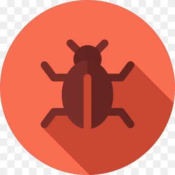 picture of a bug