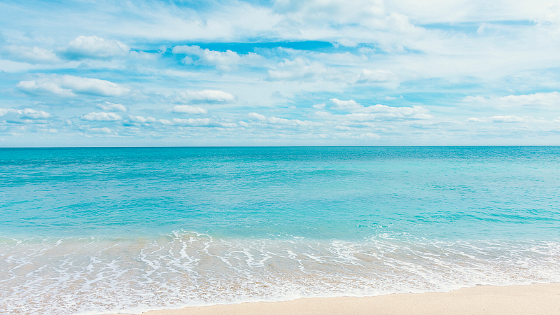 Beach Zoom Background