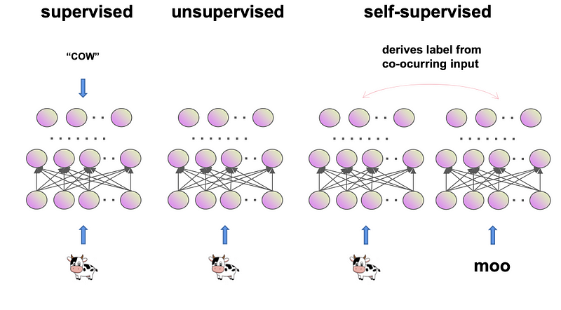 Diagram or visualization explaining the concept of Self-Supervised Learning (SSL), illustrating how the model generates its own supervision from the data.