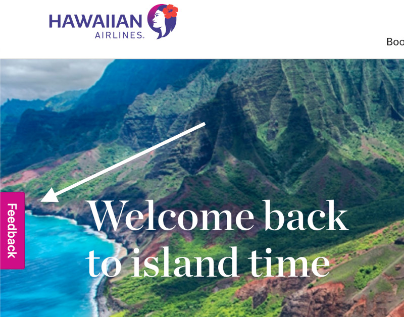 Passive feedback on the web side of Hawaiian Airlines.