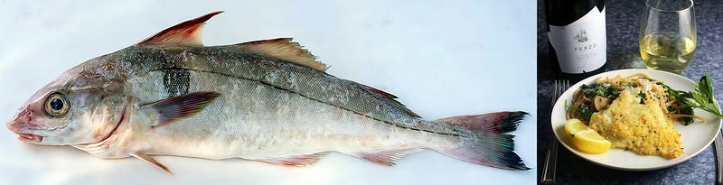 A Silver Thread Through the Deep: The Haddock’s Journey from Ocean Lore to Culinary Art