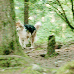 Reaction GIF from Once Upon a Time Season 6 recap