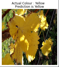 Yellow color prediction