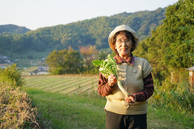 An old Japanese farmer holds a daikon in her hand while smiling at the camera