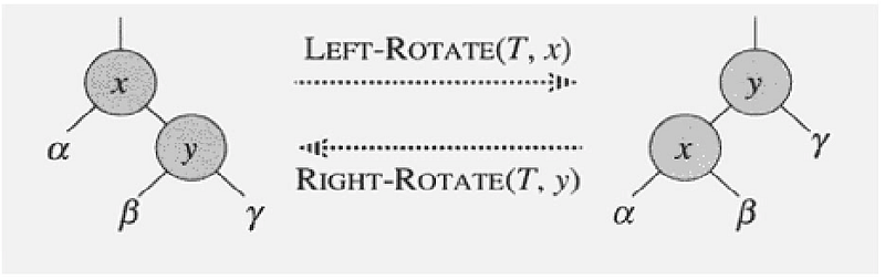 Left and Right Rotation