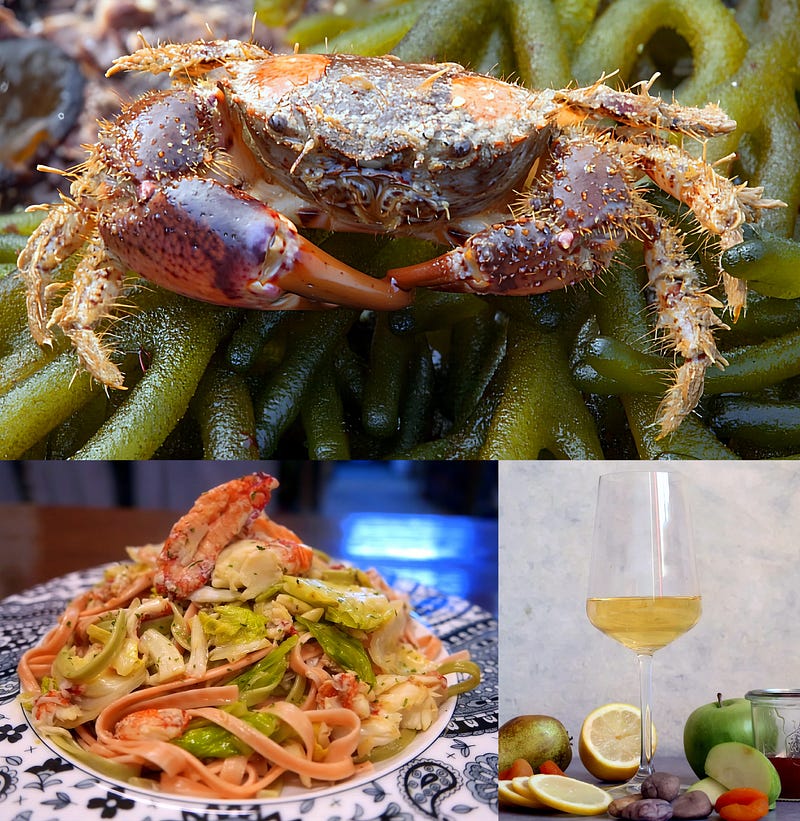 The Hairy Crab: Pilumnus hirtellus and Its Culinary, Ecological, and Cultural Role