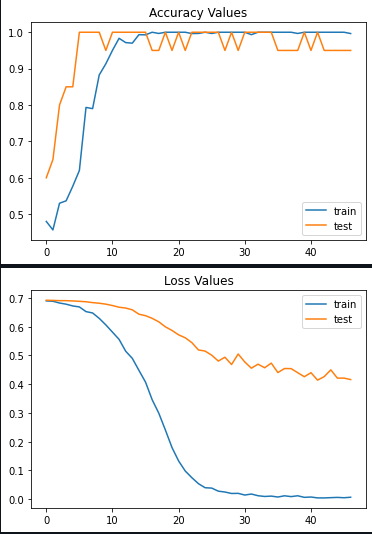 Accuracy and Loss values