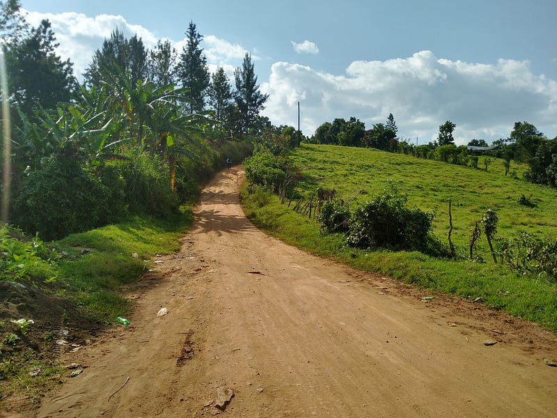 Low-density settlement makes up most of Fort Portal City