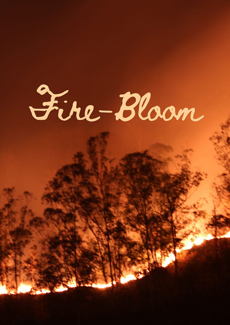 Fire-Bloom