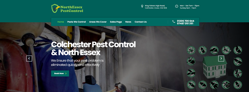Expert Wasp & Bee Nest Removal: Essex & Colchester Services