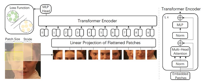 Patch Embedding Process