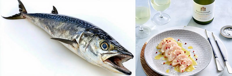 Silver King of the Seas: The Story of the King Mackerel