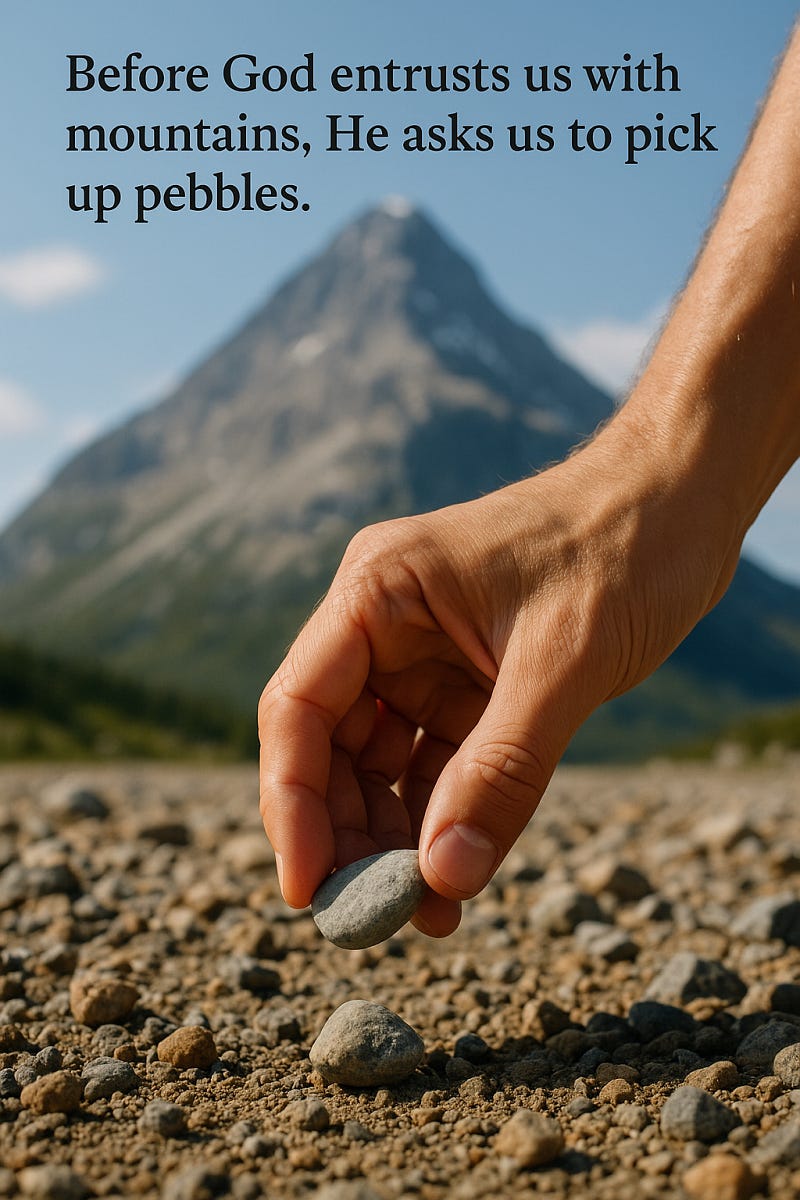 Pebbles Before Mountains