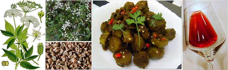 Randhuni: The Hidden Jewel of South Asian Flavor and Botany