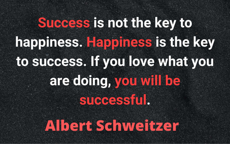 Entrepreneur Quotes — Albert Schweitzer