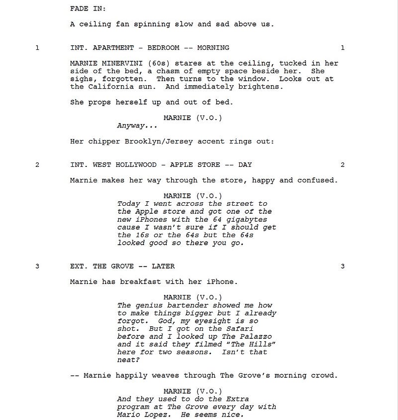 Page One: “The Meddler” (2015)