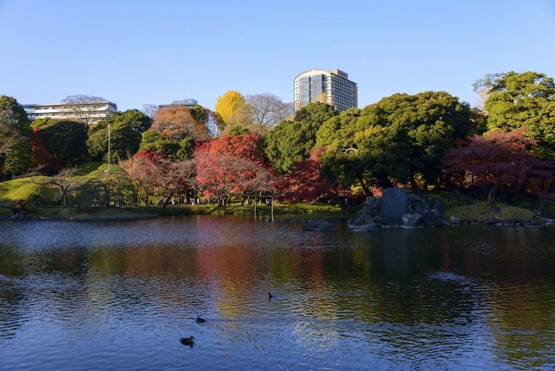 The central body of water at Tokyo’s Koishikawa Korakuen traditional garden