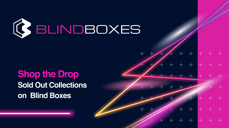 Shop the Drop — Sold Out Collections on Blind Boxes