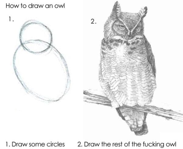 Change Management - How to draw an owl Illustration