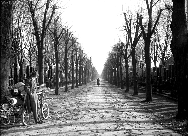 Script To Screen: “The Third Man”