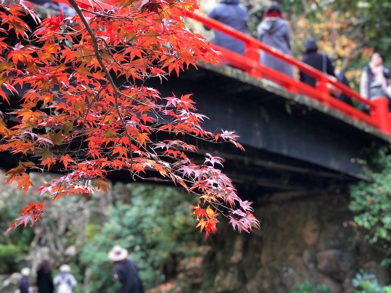 A bridge in the Momiji Valley on Hiroshima Prefecture’s island of Miyajima