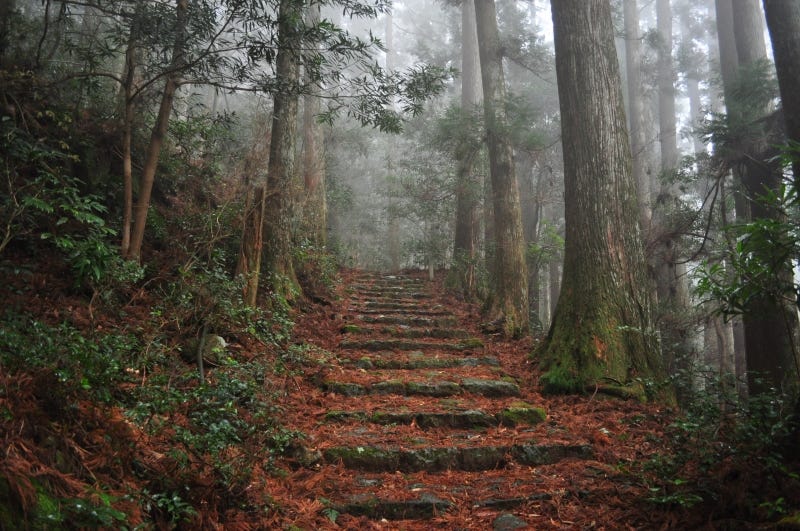 A misty trail through the forest on the Kumano Kodo in Wakayama Prefecture