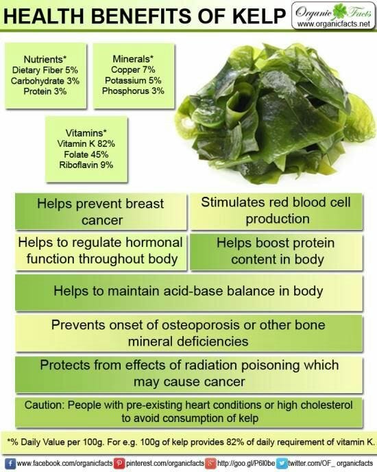 kelp iodine content