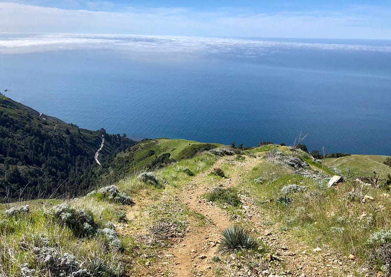 Boronda Trail to Timber Top Camp, Big Sur Bay Area Workers’ Guide to