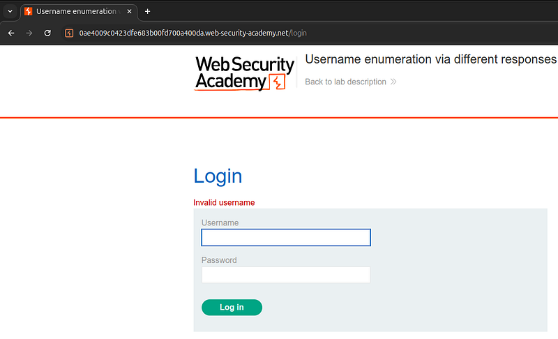 portswiggers web security academy