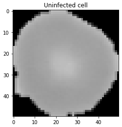 Uninfected cell
