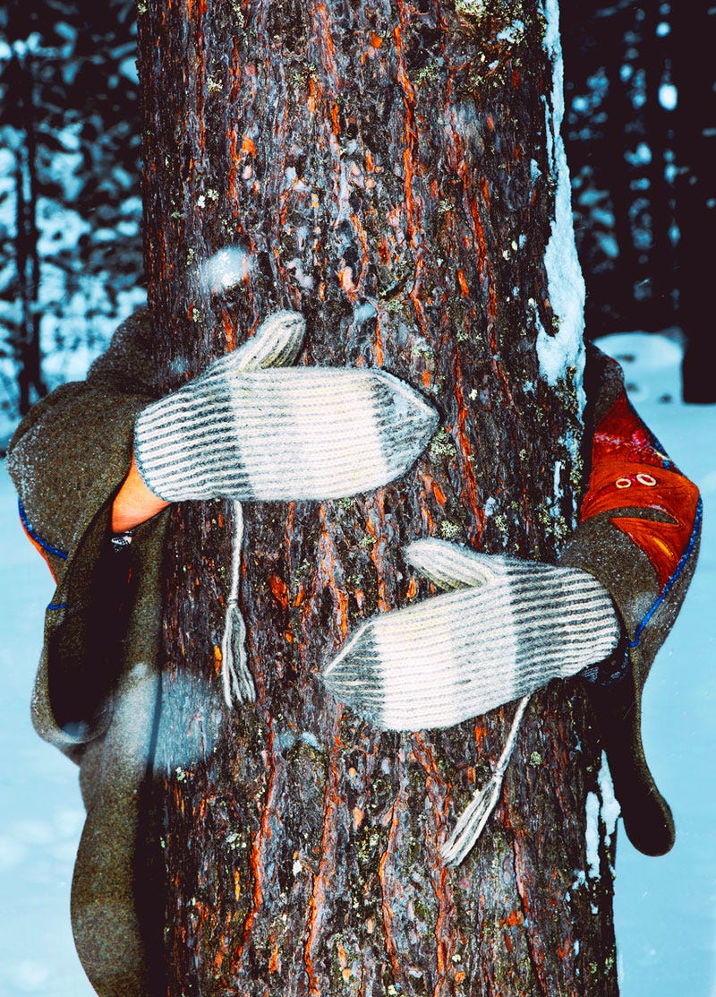 A person wearing mittens hugs a tree in a snowy forest.