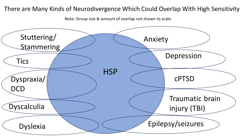 PowerPoint Venn diagram titled, “There are many kinds of neurodivergence which could overlap with high sensitivity.” A big circle labeled HSP is overlapped by 10 smaller ovals with the titles Anxiety, Depression, cPTSD, Traumatic Brain Injury (TBI), Epilepsy/seizures, Stuttering/Stammering, Tics, Dyspraxia/DCD, Dyscalculia, and Dyslexia. Group sizes and amount of overlap are NOT shown to scale.