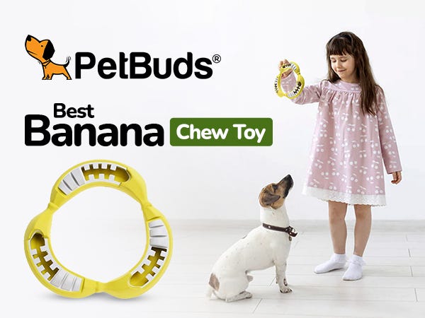 Dog Teething Toys: The Chew and Play Solution