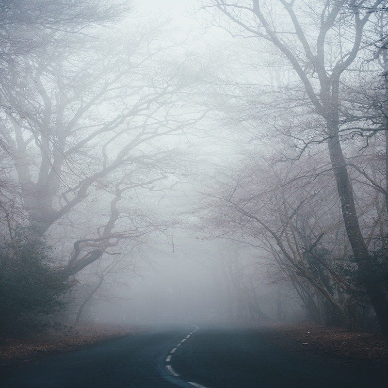 Mist covered road with dark trees