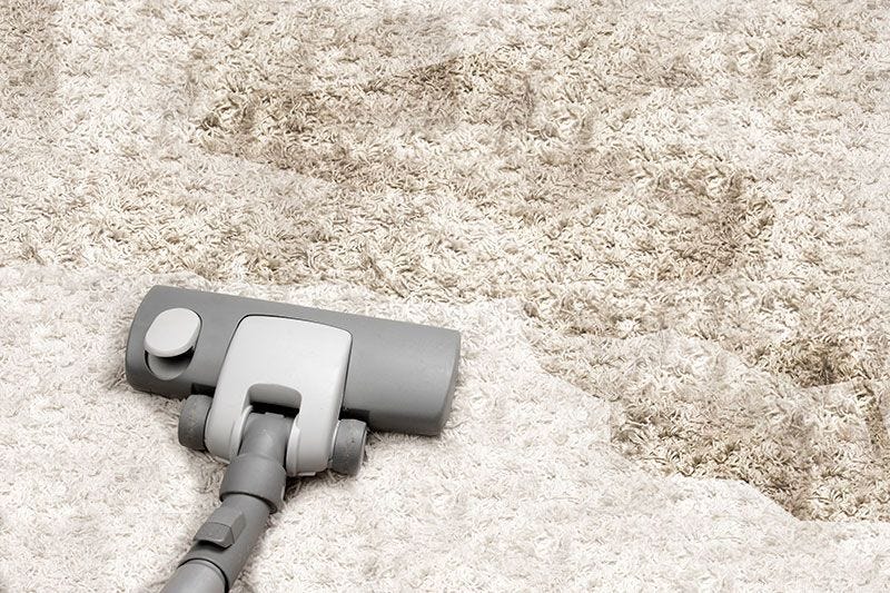 How To Remove Old Pet Stains From Carpet And Rugs Angus Darvall First Of All You Have To Begin By Spotting The Stain Remember Locating Old Stains Is Not Easy Because They Re As Visible New Ones If Pet