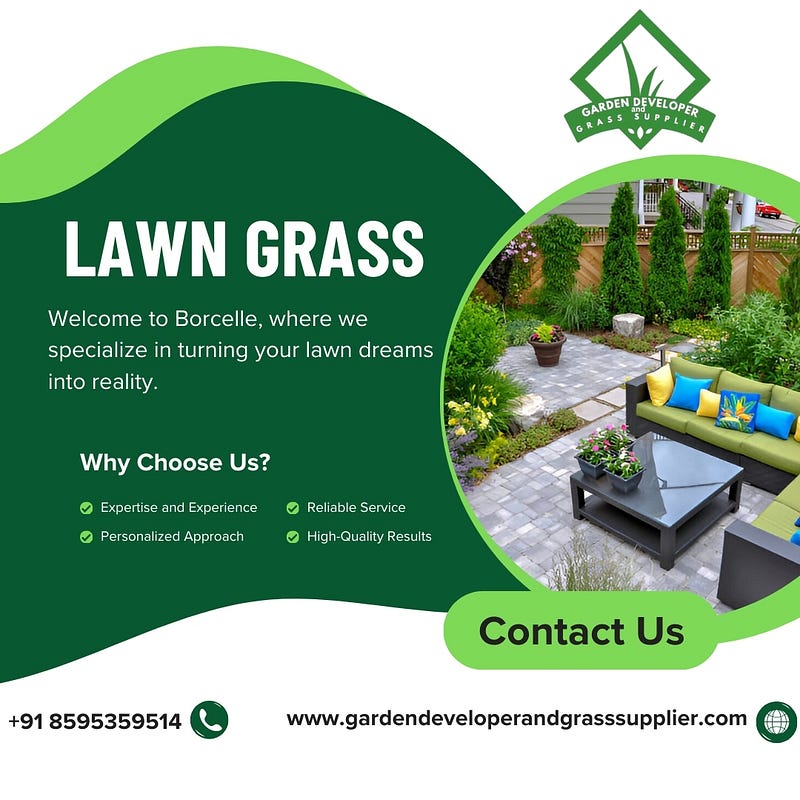 Lawn Grass for Sale