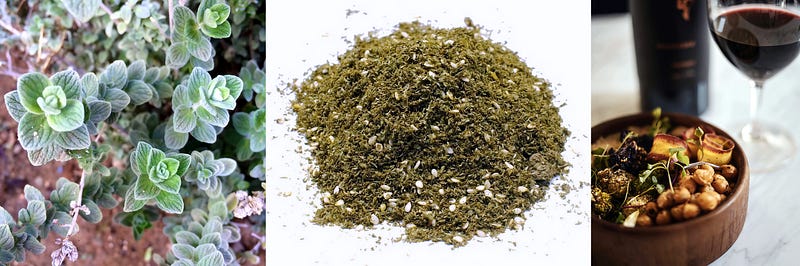 From Mountain Slopes to Kitchen Tables: The Story of Origanum syriacum, the Levant’s Wild Oregano