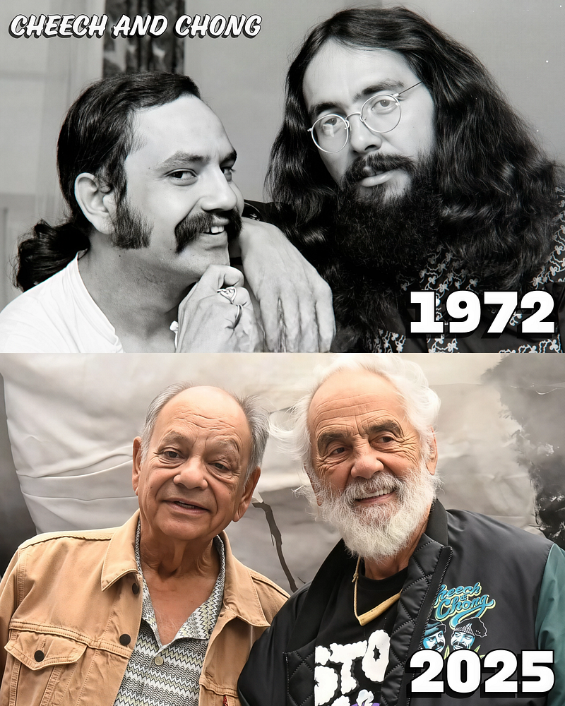 The Philosophy of Humor of Cheech & Chong