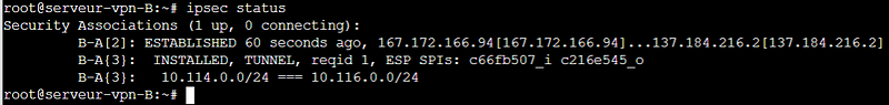 ipsec status