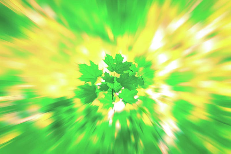 Green summer leaves transformed with motion blur into an abstract, painterly pattern of light and texture — fine art photograph by Dan Sproul.