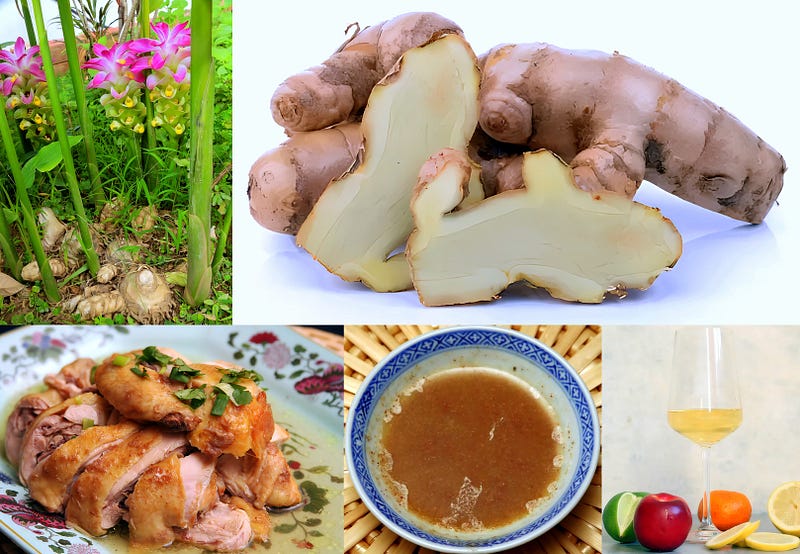 The Hidden Spice of Tradition: Zedoary’s Journey from Forest to Table