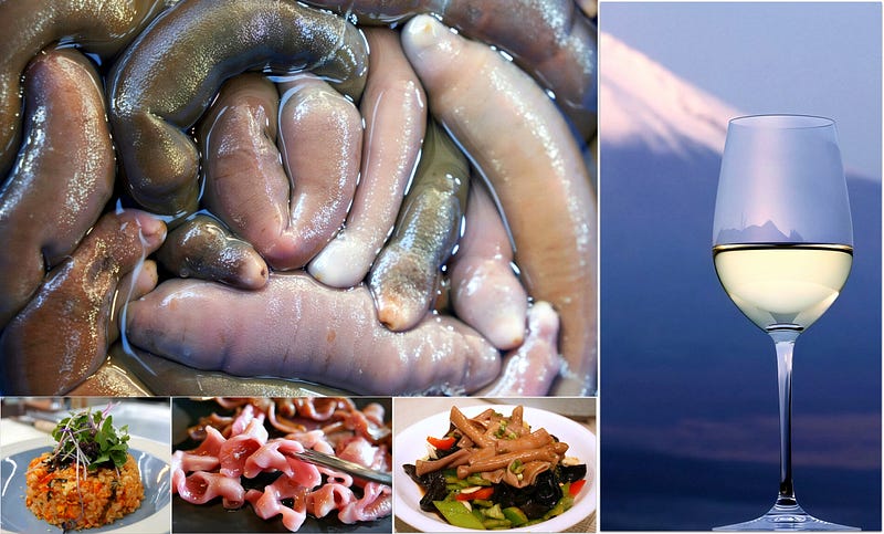 The Spoon Worm of the Tides: Urechis unicinctus and the Hidden Ecology of the Sea’s Most Unlikely…