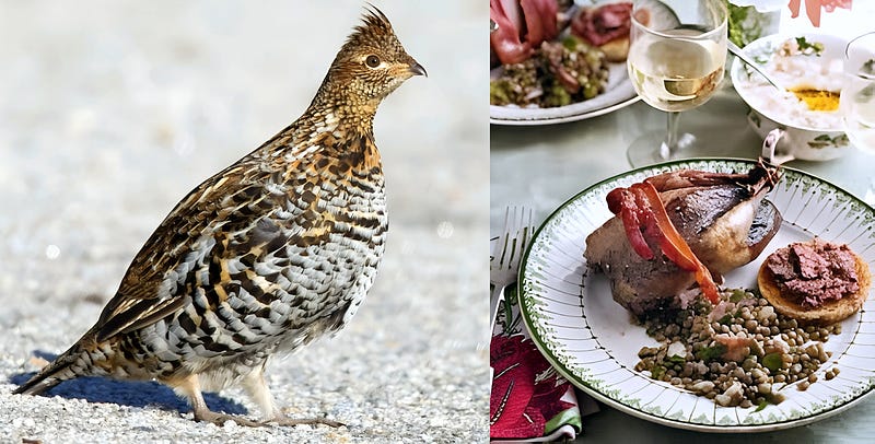 Drumming in the Forest: The Life and Legacy of the Ruffed Grouse