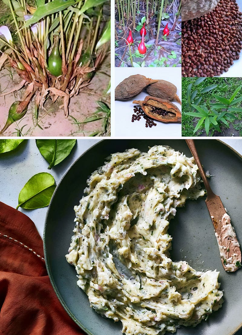 The Fiery Secrets of Alligator Pepper: A Spice Bridging Nature, Culture, and Sustainability