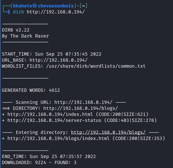 Running DIRB scan on target machine's IP