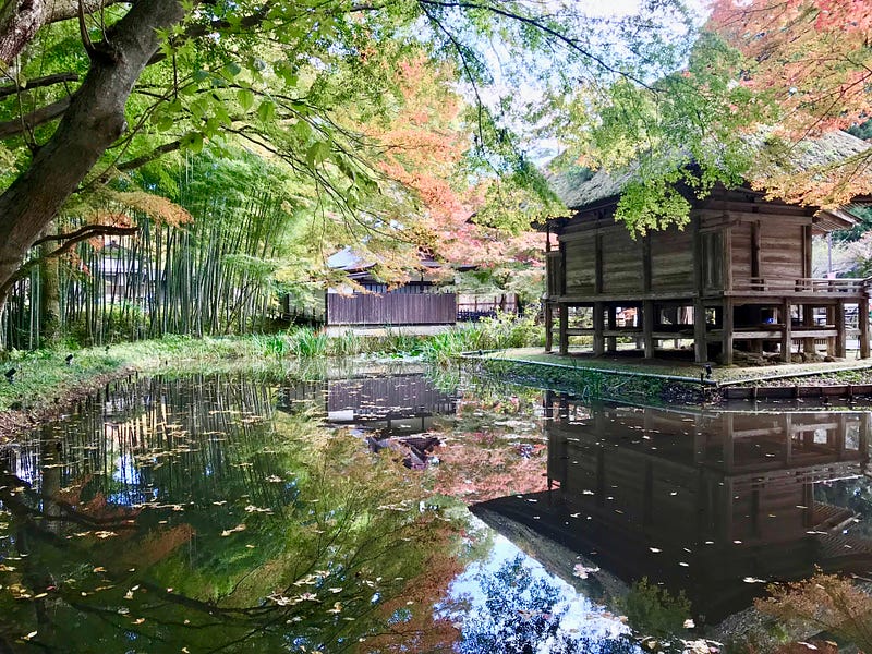 Autumn leaves overhang a pond and wooden temple building at Chusonji in Hiraizumi.